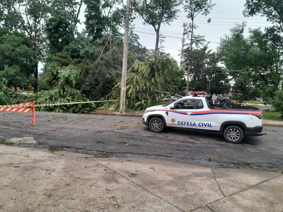Foto 33 de 40 — Veja fotos do cenário em Boa Esperança do Sul após forte temporal